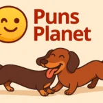 dachshund