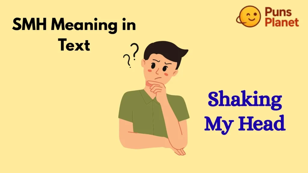 SMH Meaning in Text