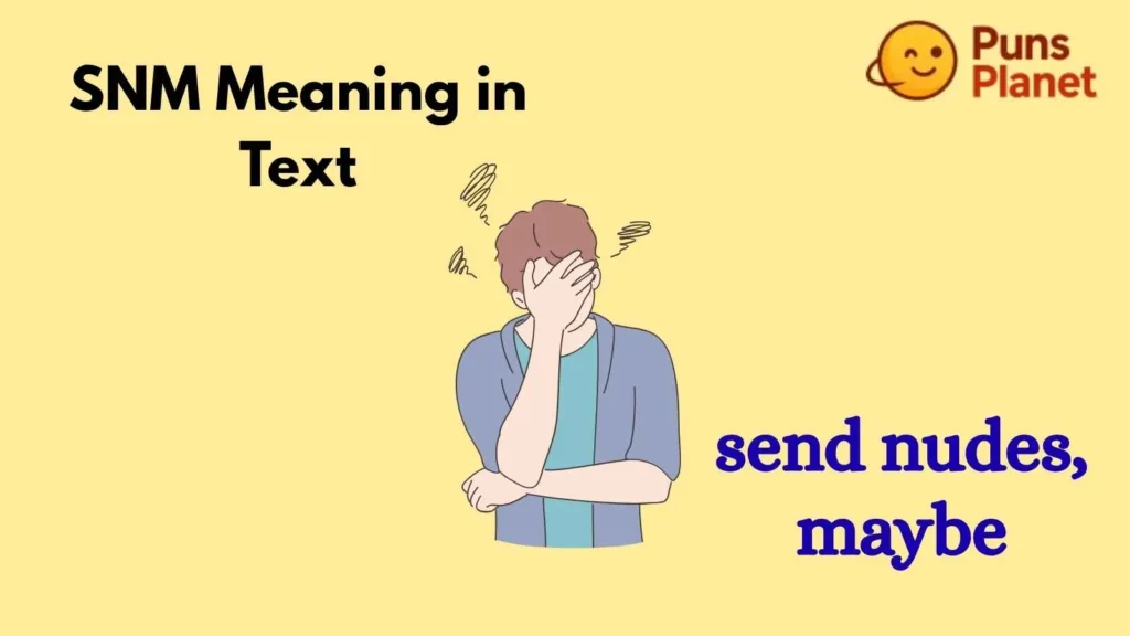 SNM Meaning in Text